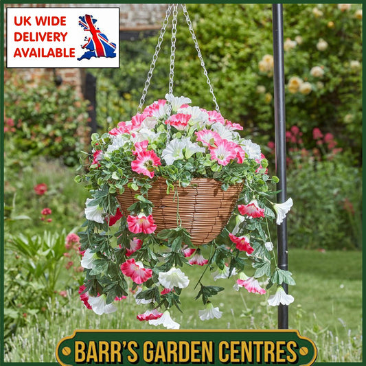 Smart Garden Regal Hanging Basket - Summer Bloom