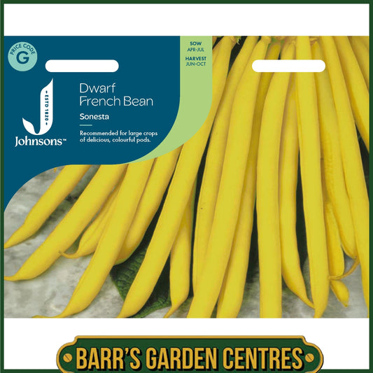 Johnsons - Dwarf French Bean Sonesta - 100 Seeds