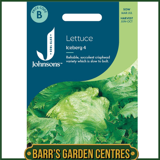 Johnsons - Lettuce Iceberg 4 - 1000 Seeds