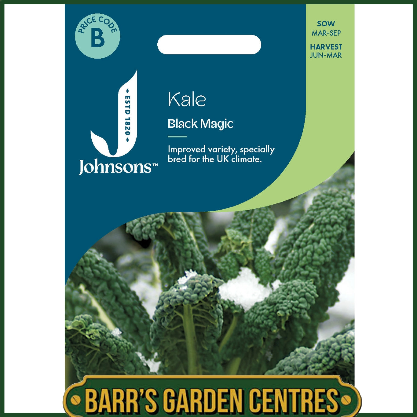 Johnsons - Kale Black Magic - 50 Seeds