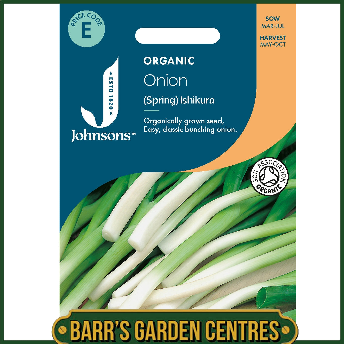 Johnsons -  Organic Vegetable - Onion (spring) Ishikura - 350 Seeds