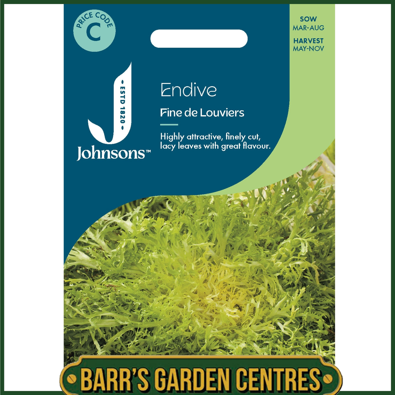 Johnsons - Endive Fine De Louviers - 1000 Seeds