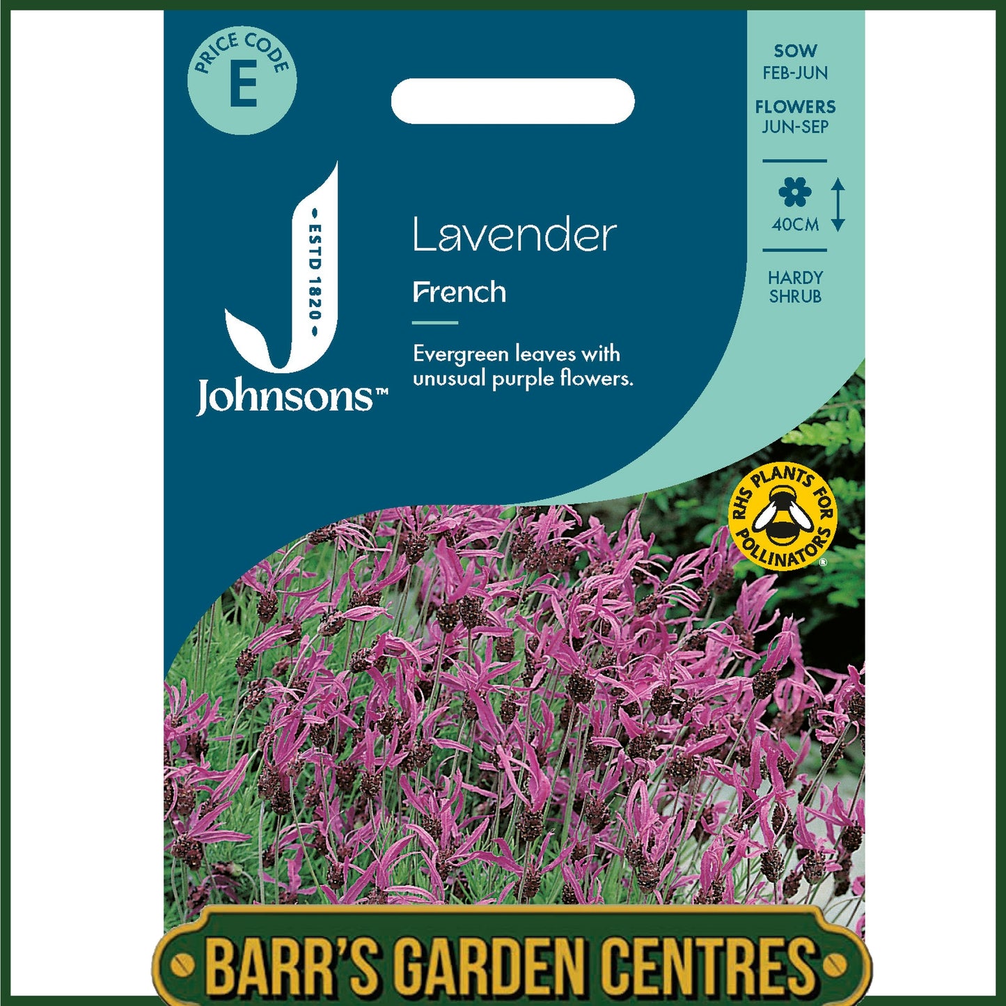 Johnsons - Lavender French - 35 Seeds