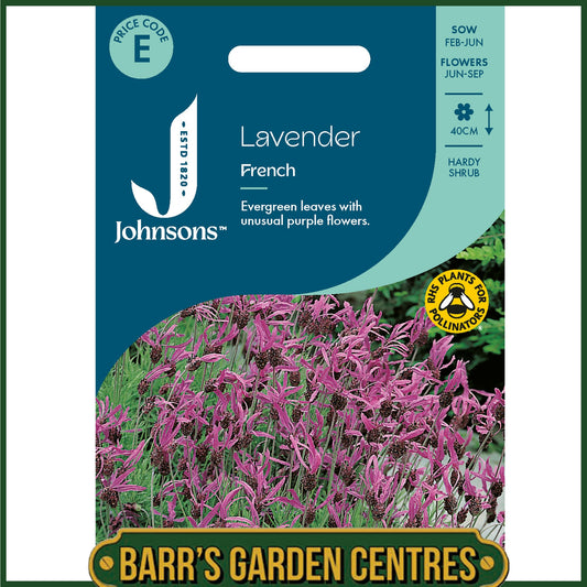 Johnsons - Lavender French - 35 Seeds