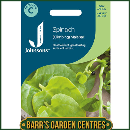 Johnsons - Spinach (climbing) Malabar Spinach - 50 Seeds
