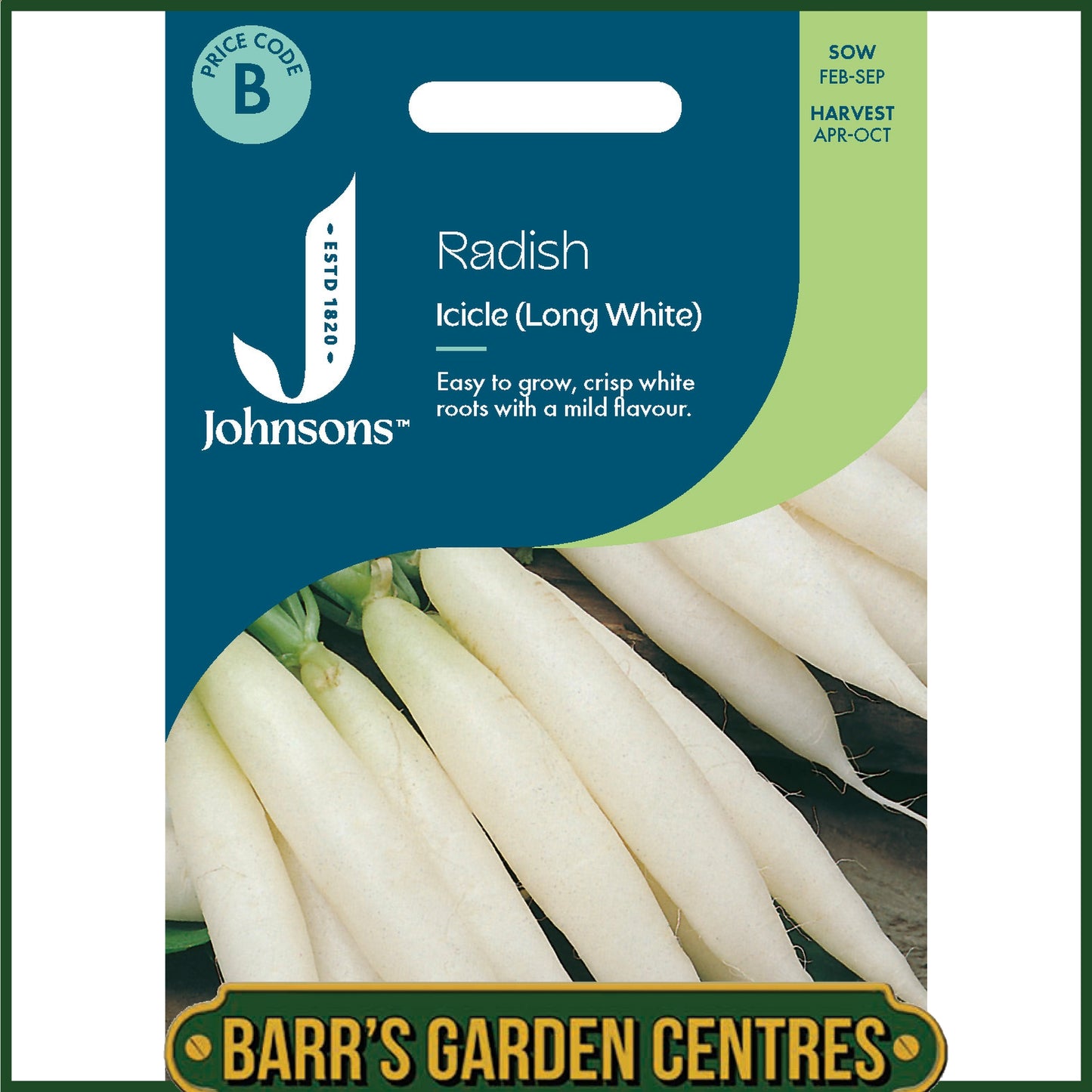 Johnsons - Radish Icicle (long White) - 500 Seeds