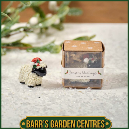 Christmas Tiny World Resin Sheep Keepsake Ornament with Gift Box