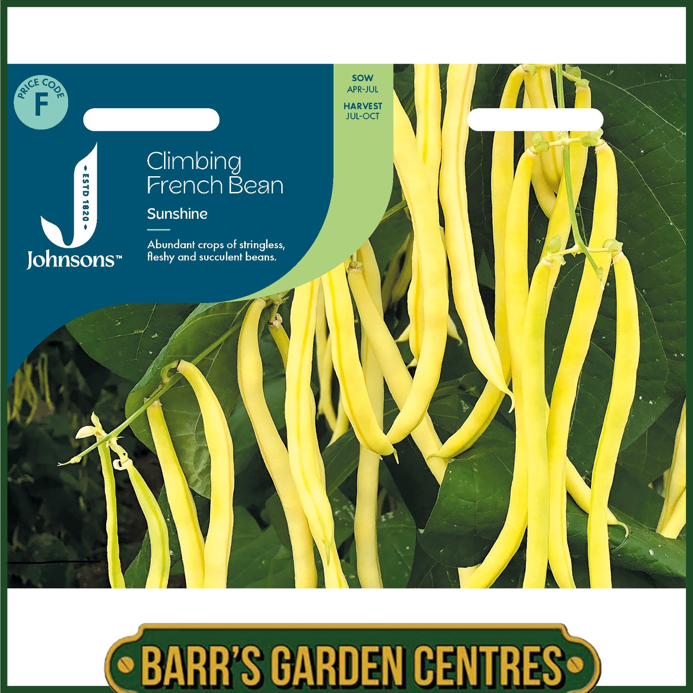 Johnsons - Climbing French Bean Sunshine - 50 Seeds