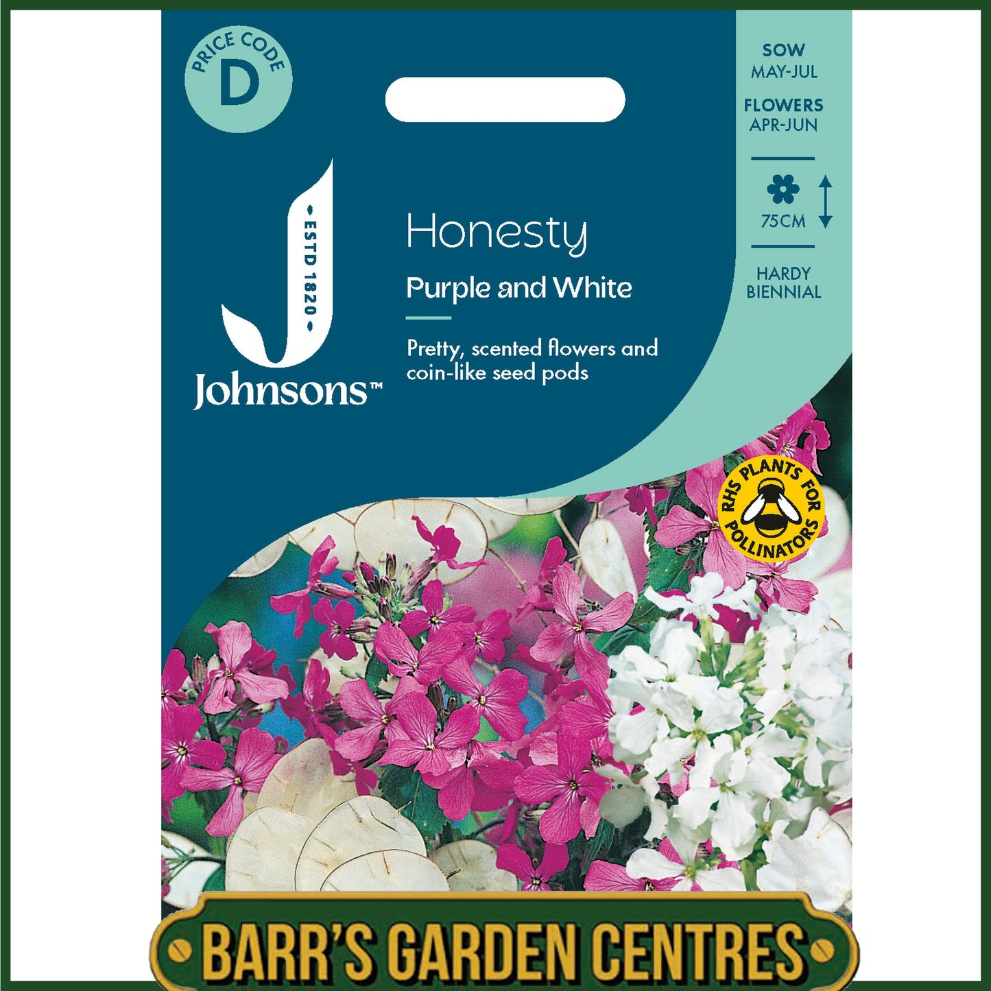 Johnsons - Honesty Purple and White - 50 Seeds