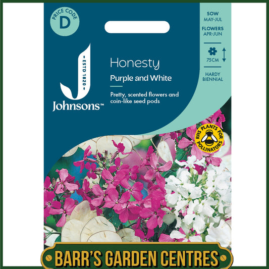Johnsons - Honesty Purple and White - 50 Seeds