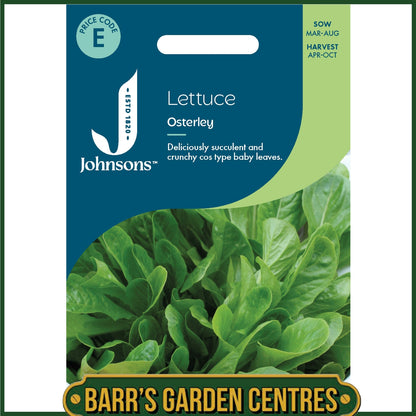 Johnsons - Lettuce Osterley - 500 Seeds