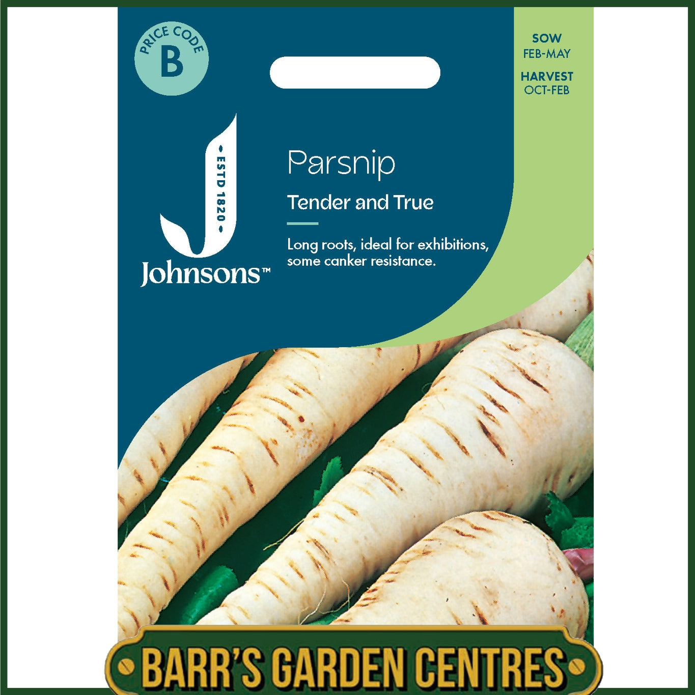 Johnsons - Parsnip Tender and True - 500 Seeds