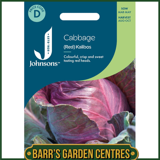 Johnsons - Cabbage (red) Kalibos - 150 Seeds