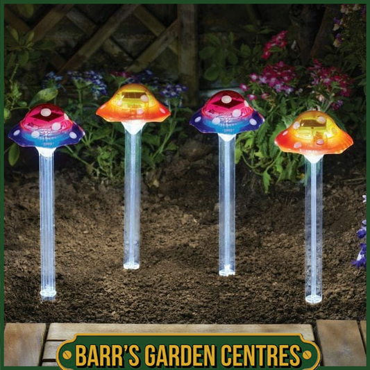 Smart Solar Funky Fungus - 4 PC Carry Pack