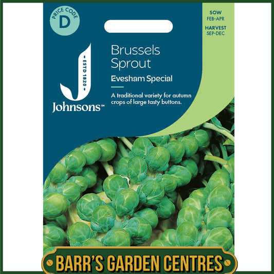 Johnsons - Brussels Sprout Evesham Special - 200 Seeds