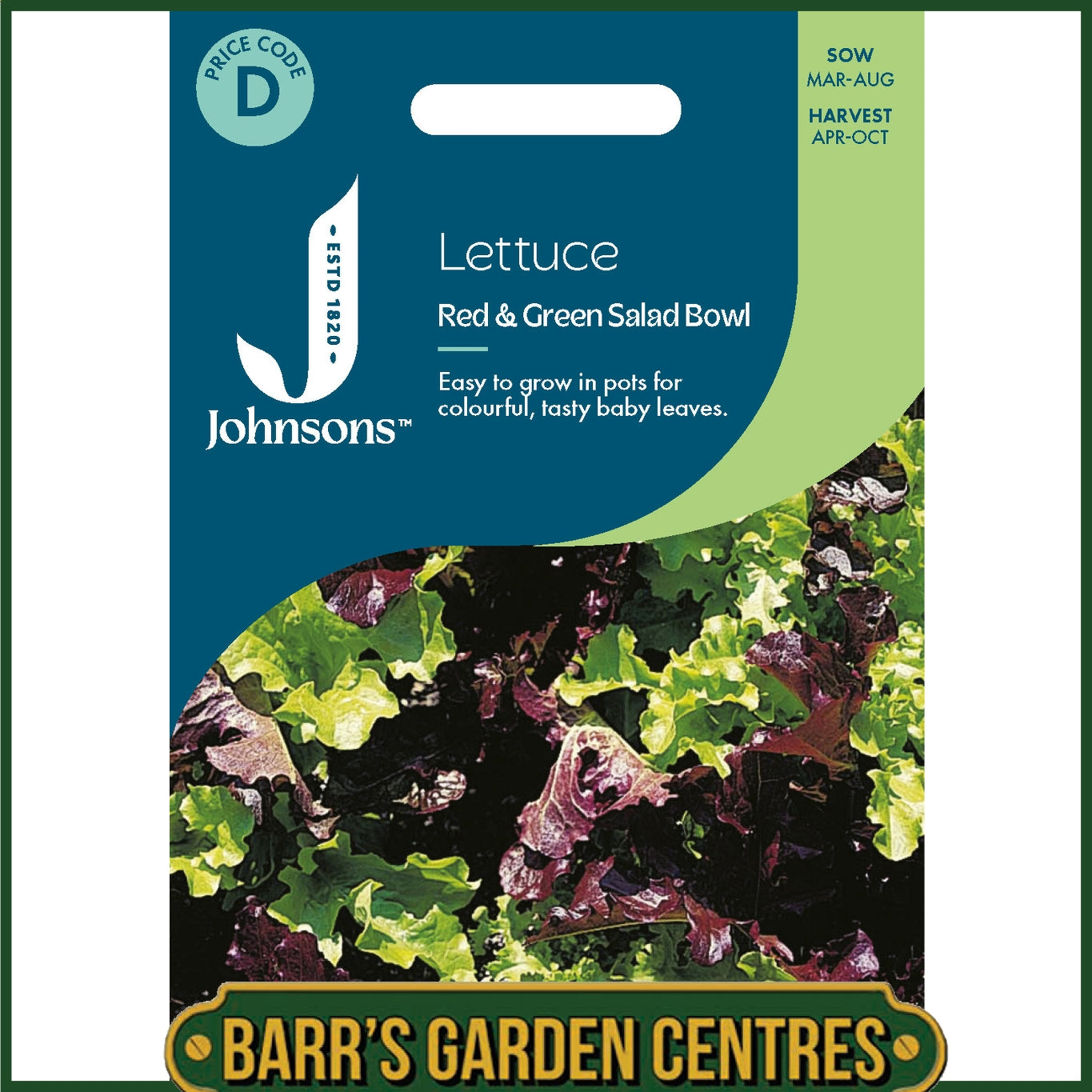 Johnsons - Lettuce Red & Green Salad Bowl Mix - 1000 Seeds