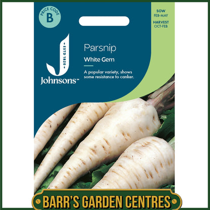 Johnsons - Parsnip White Gem - 500 Seeds