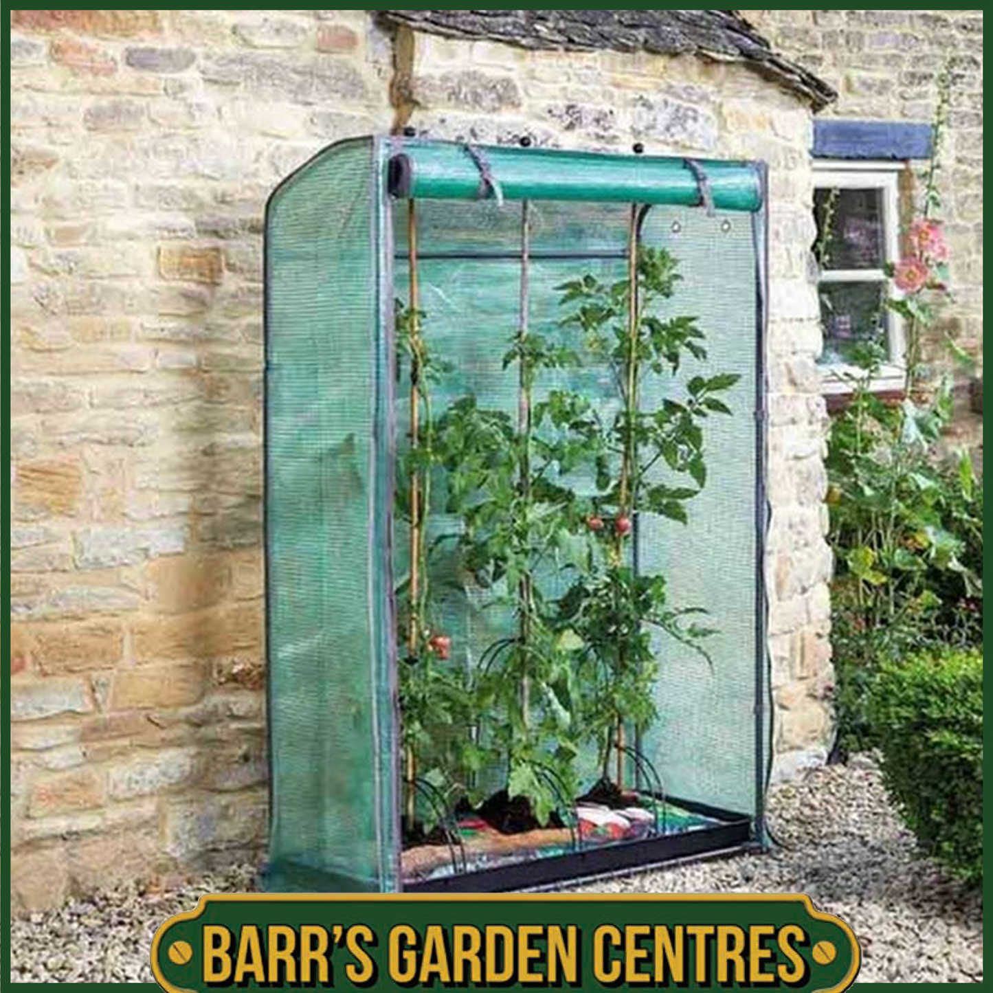 Smart Garden Tomato Gro-Zone Growhouse