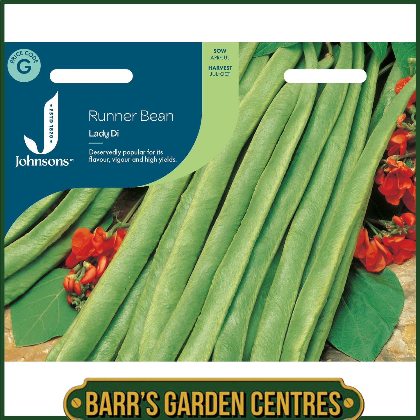 Johnsons - Runner Bean Lady Di - 40 Seeds
