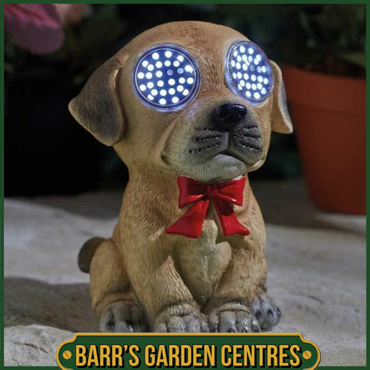 Smart Solar Blinkin' Dog