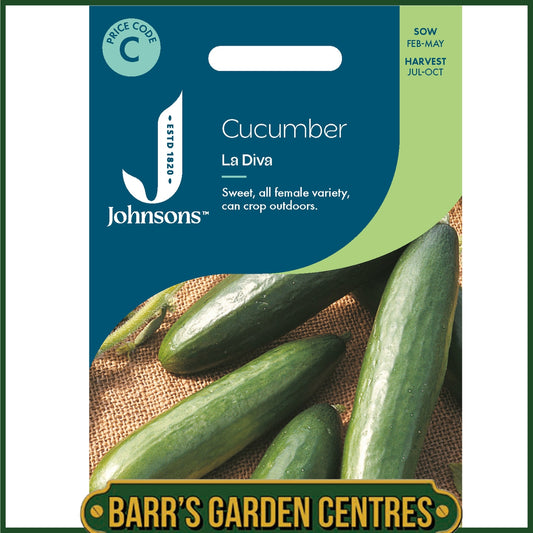 Johnsons - Cucumber La Diva - 10 Seeds