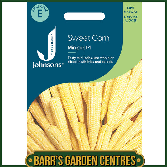 Johnsons - Sweet Corn Minipop F1 - 50 Seeds