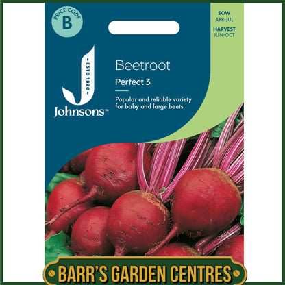 Johnsons - Beetroot Perfect 3 - 250 Seeds