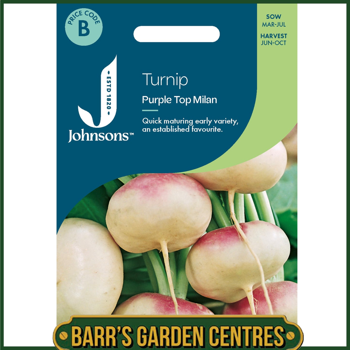 Johnsons - Turnip Purple Top Milan - 1750 Seeds