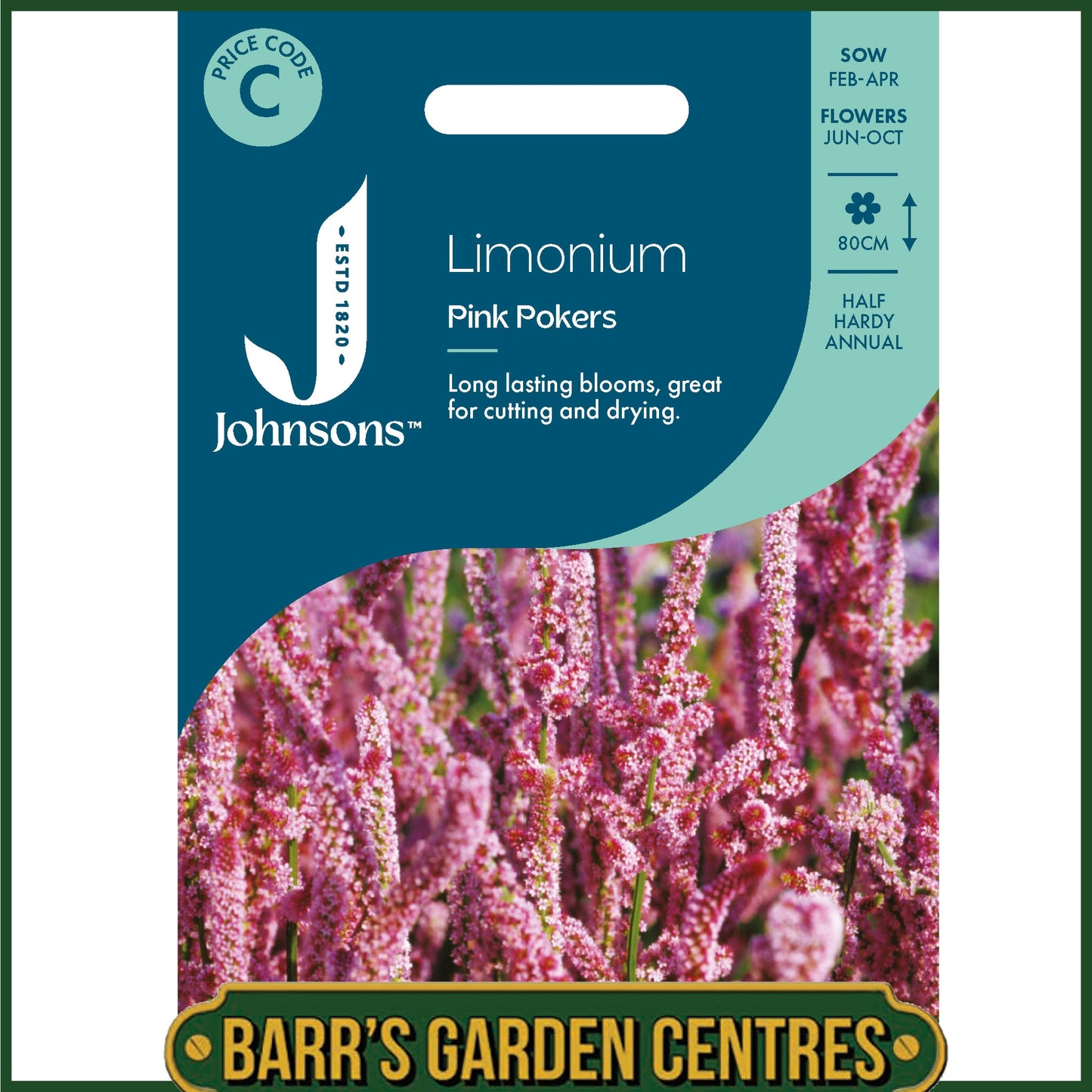 Johnsons - Limonium Pink Pokers - 500 Seeds