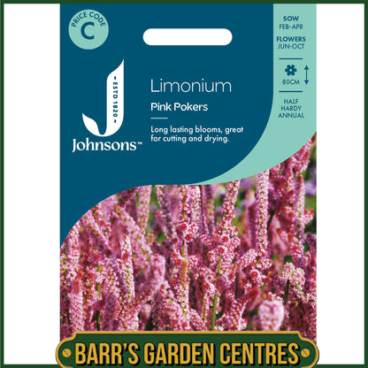 Johnsons - Limonium Pink Pokers - 500 Seeds