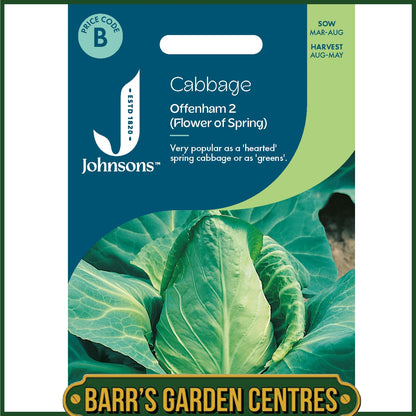 Johnsons - Cabbage Offenham 2 (flower of Spring) - 350 Seeds