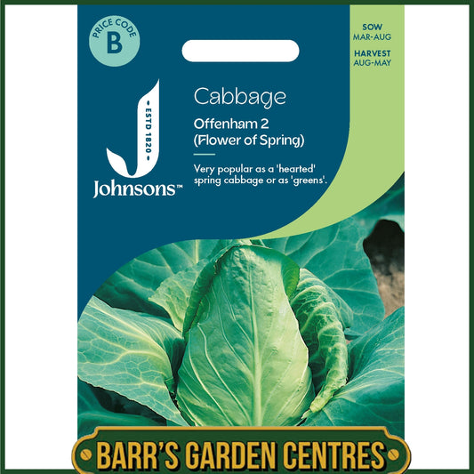 Johnsons - Cabbage Offenham 2 (flower of Spring) - 350 Seeds