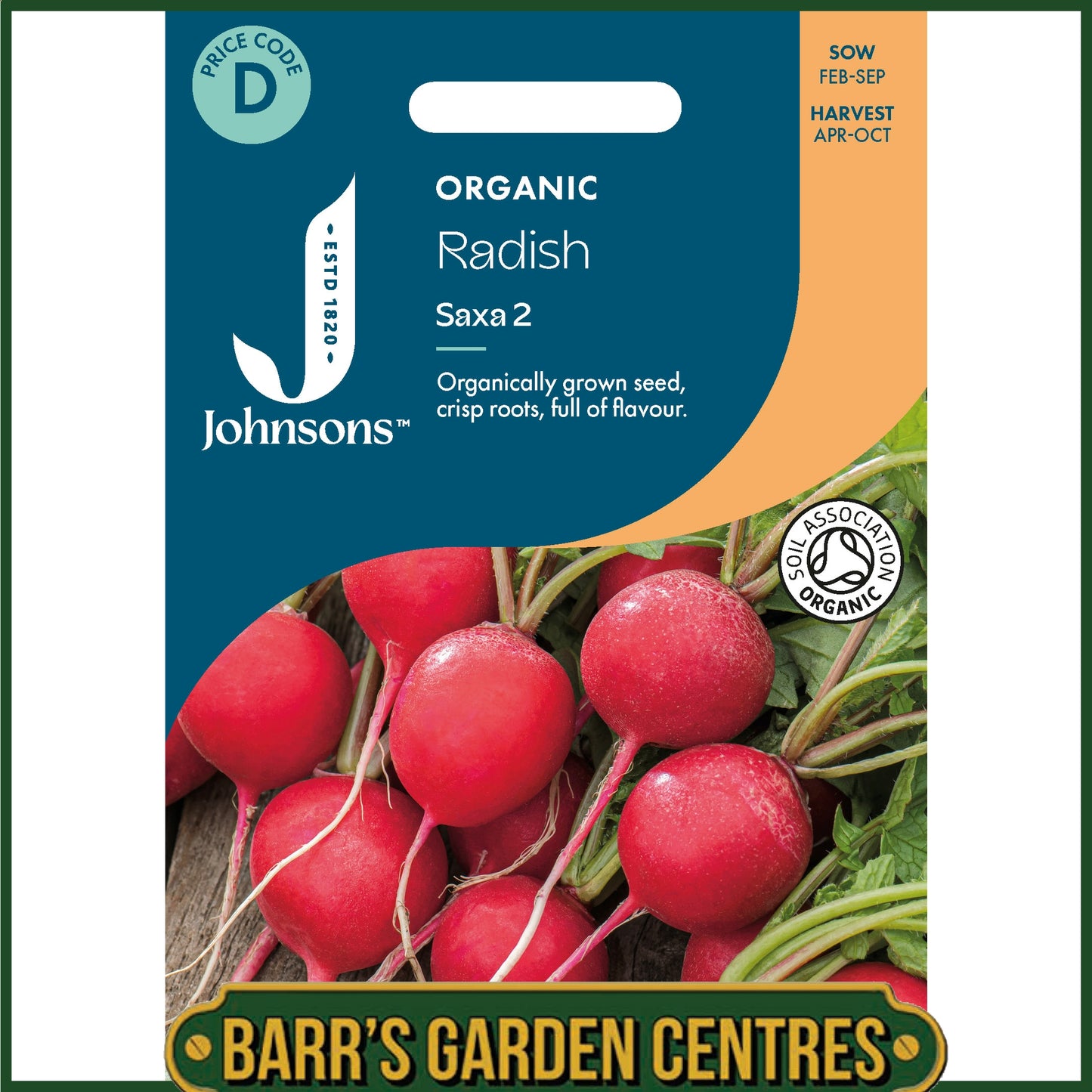 Johnsons - Organic Vegetable - Radish Saxa 2 - 500 Seeds