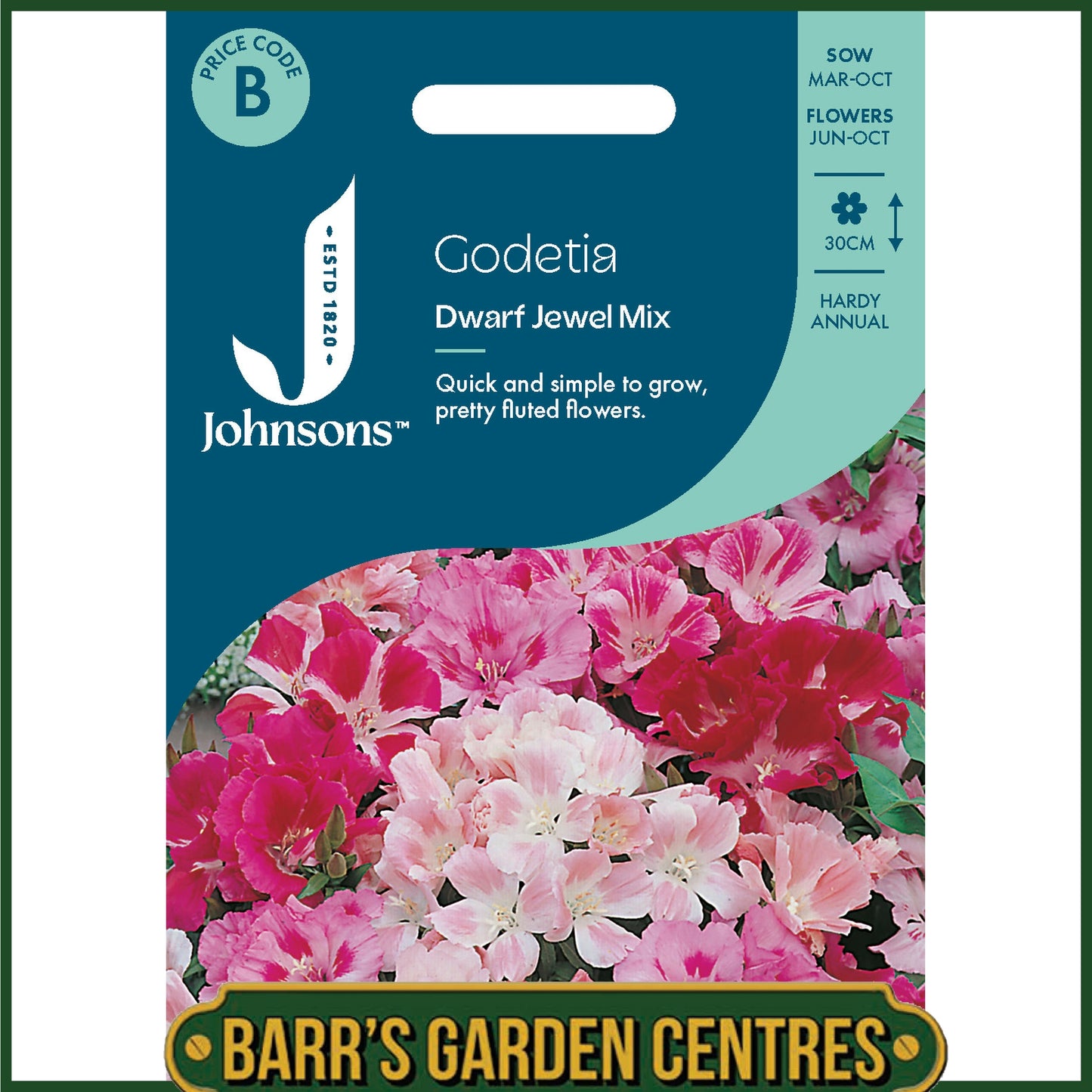 Johnsons - Godetia Dwarf Jewel Mix - 1000 Seeds