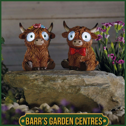 Smart Solar Bright Eyes Highlander Solar Garden Light, 2 Design Choices