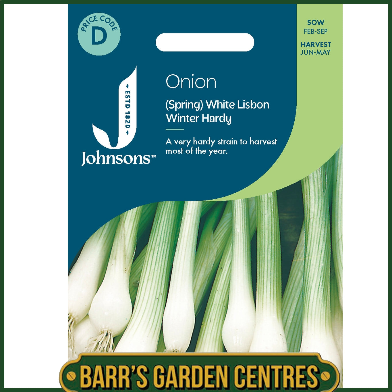 Johnsons -  Onion (spring) White Lisbon Winter Hardy - 600 Seeds