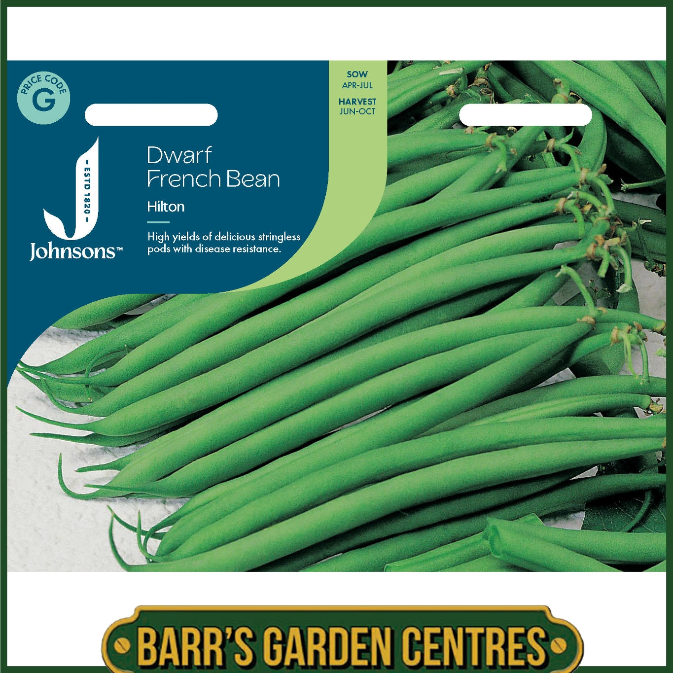 Johnsons - Dwarf French Bean Hilton - 100 Seeds