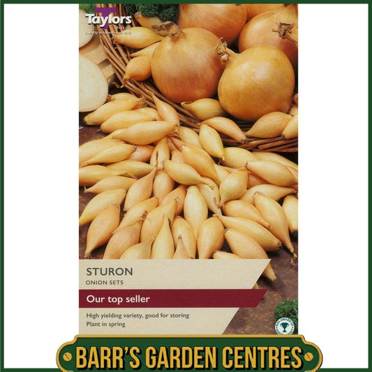 Sturon Onion 50 Pack