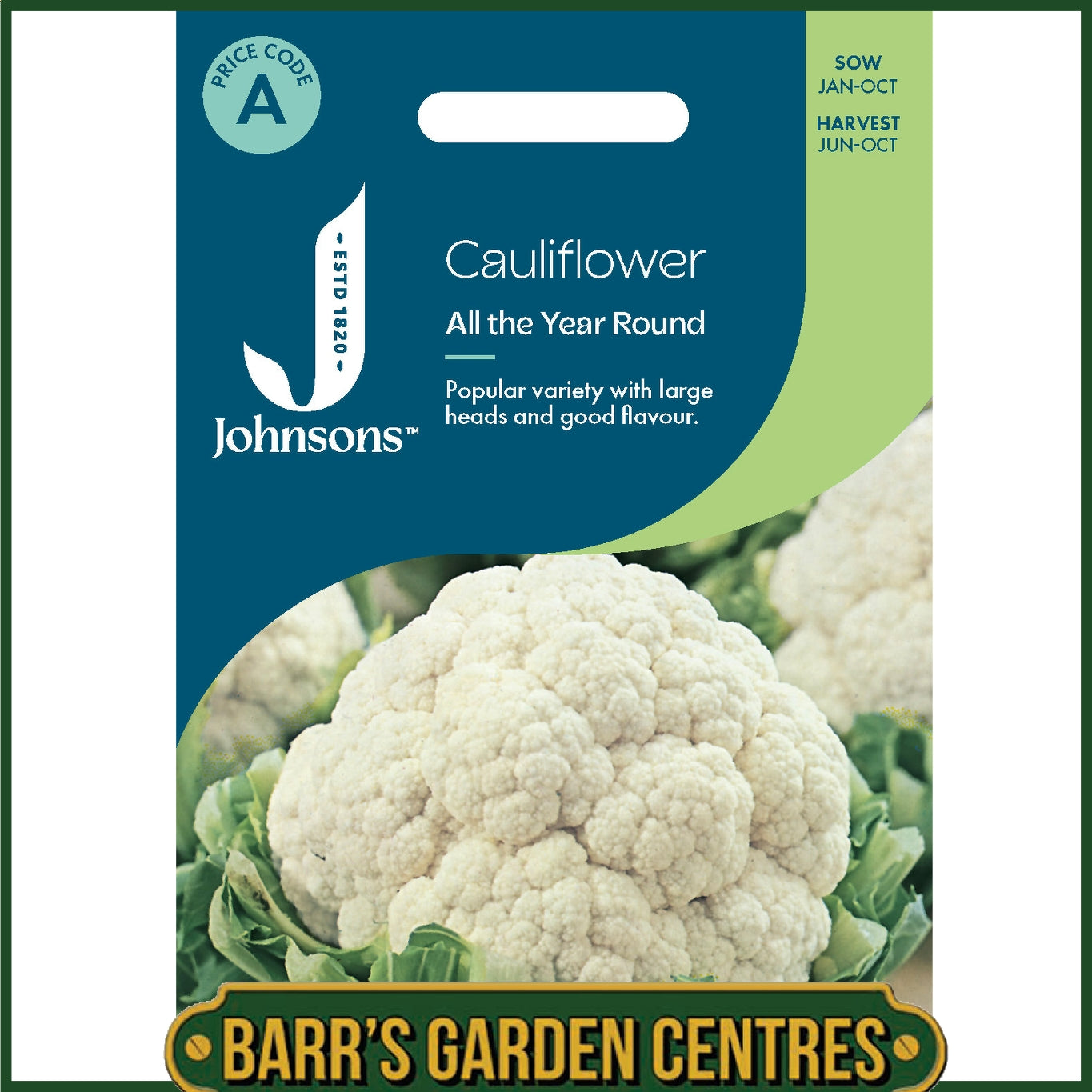 Johnsons - Cauliflower All the Year Round - 200 Seeds