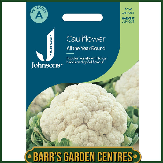 Johnsons - Cauliflower All the Year Round - 200 Seeds