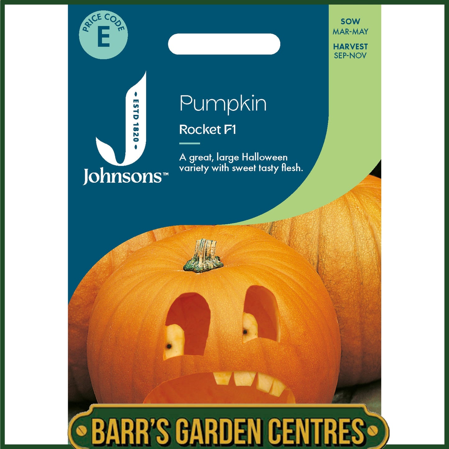 Johnsons - Pumpkin Rocket F1 - 10 Seeds