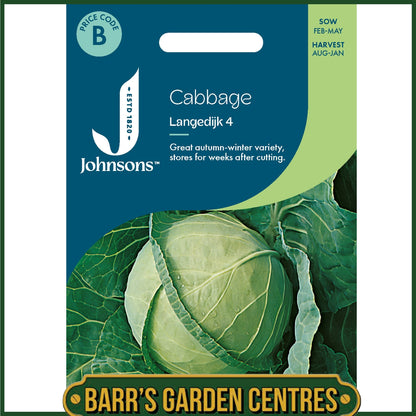 Johnsons - Cabbage Langedijk 4 - 350 Seeds