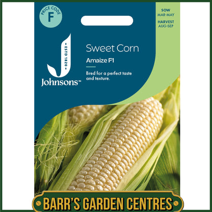 Johnsons - Sweet Corn Amaize F1 - 20 Seeds