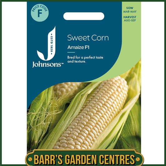Johnsons - Sweet Corn Amaize F1 - 20 Seeds