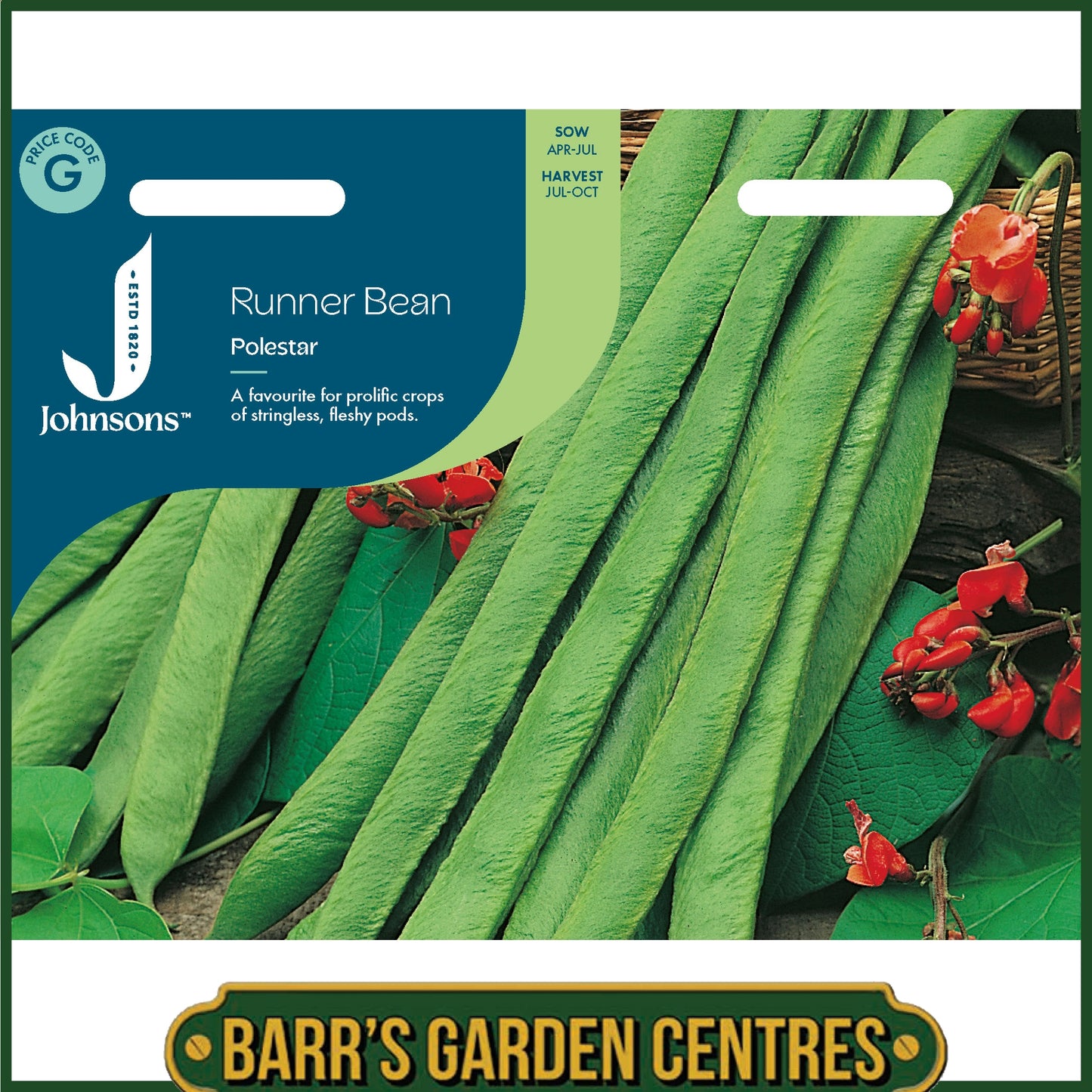 Johnsons - Runner Bean Polestar - 40 Seeds