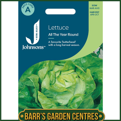 Johnsons - Lettuce All the Year Round - 1000 Seeds