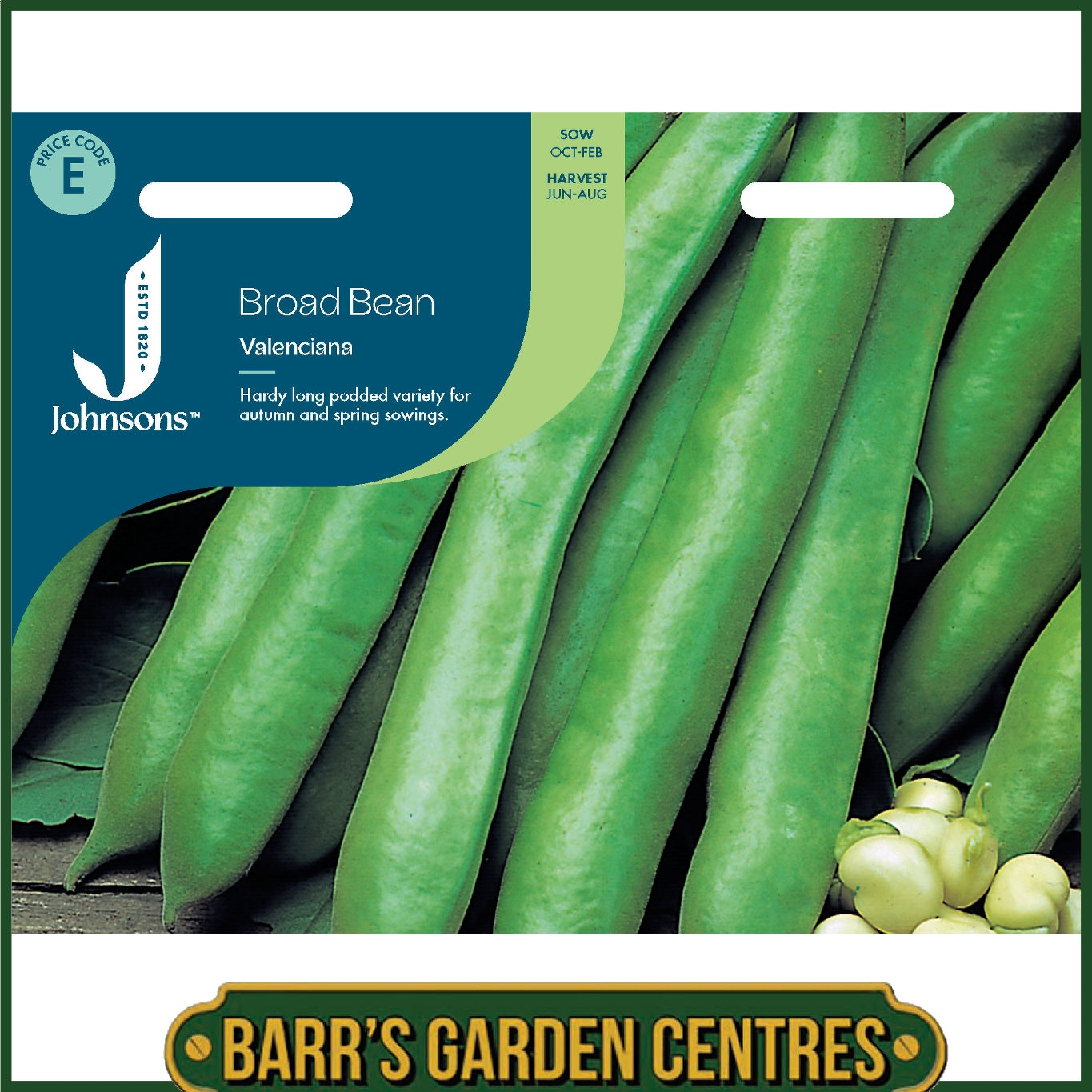 Johnsons - Broad Bean Valenciana - 45 Seeds