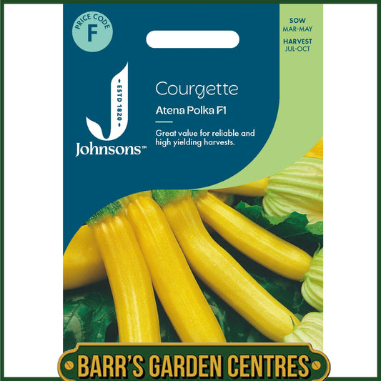 Johnsons - Courgette Atena Polka F1 - 10 Seeds