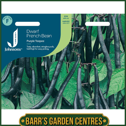Johnsons - Dwarf French Bean Purple Teepee - 100 Seeds