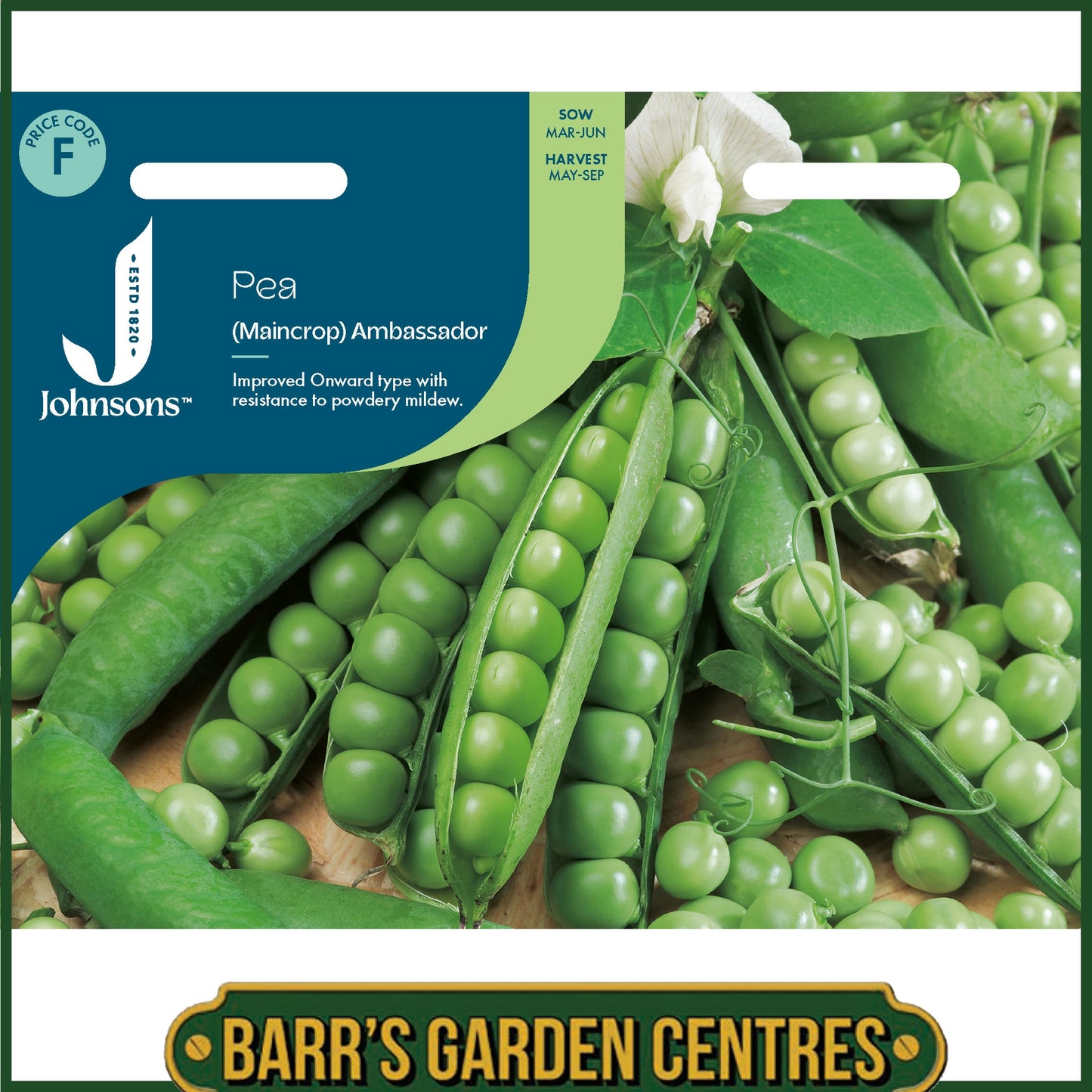 Johnsons - Pea (maincrop) Ambassador - 300 Seeds